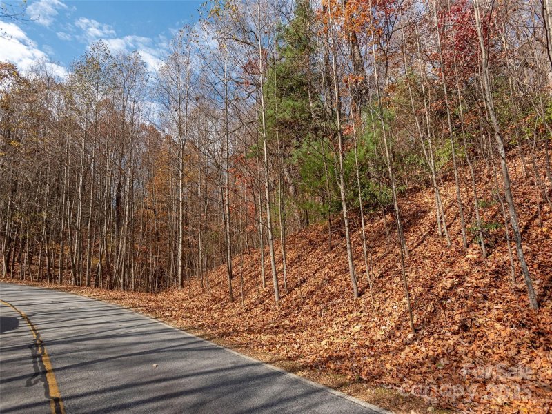 Property image 5 of 128 Pinnacle Peak Lane in Kenmure, Flat Rock, NC 28731