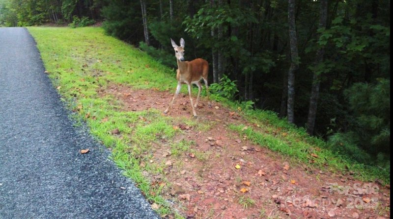 Lots 11 12 South Pointe Road