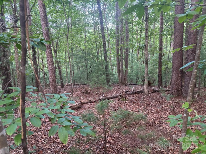 Property image 5 of Lots 11 12 South Pointe Road in Lake Adger, Mill Spring, NC 28756