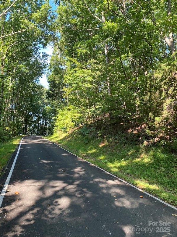 Property image 5 of 173 Stacked Rock Road in Glassy Mountain, Landrum, SC 29356