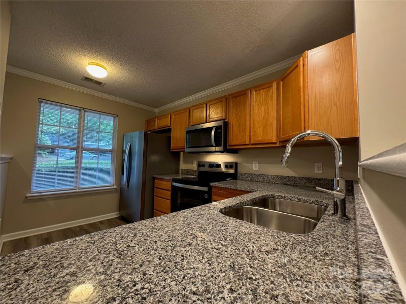 Property image 4 at 10165 Forest Landing Drive, Charlotte, NC 28213