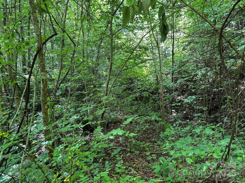 Property image 2 of 0 Loon Lane in Grand View Estates, Whittier, NC 28789