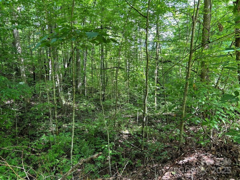 Property image 3 of 0 Loon Lane in Grand View Estates, Whittier, NC 28789