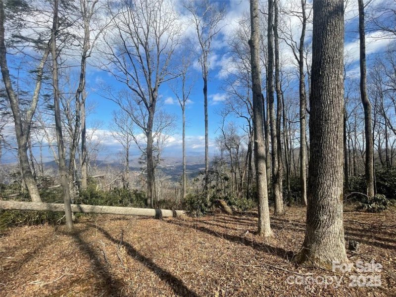Property image 2 at 6 Laurel Ledge Way, Fletcher, NC 28732