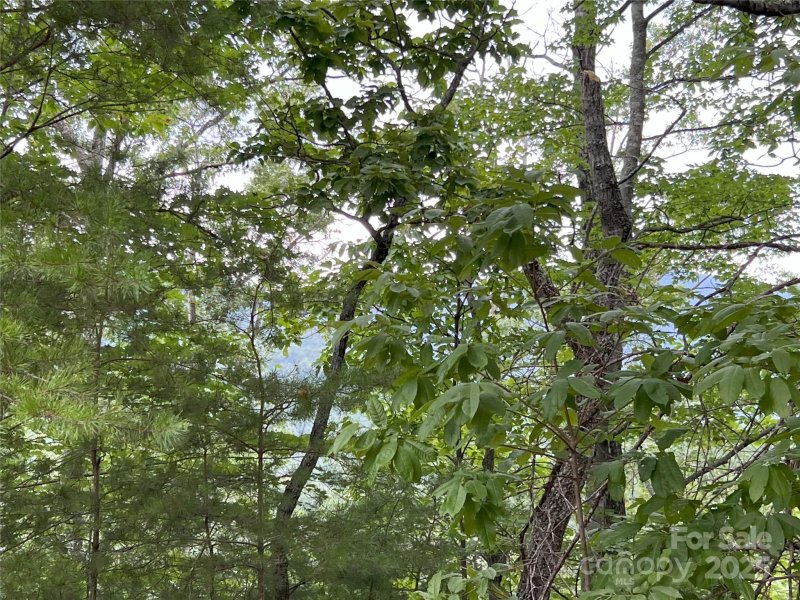 Property image 5 of 0 Stratford Drive in Brights Creek, Mill Spring, NC 28756