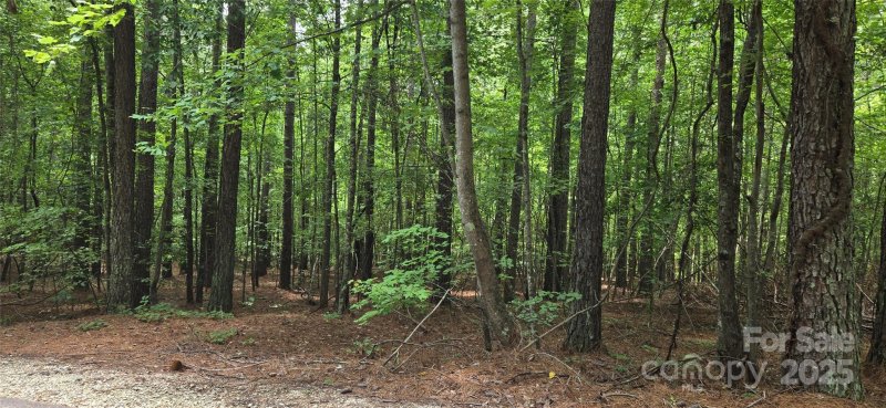 Property image 2 at Lot 15 Hidden Lake Parkway, Nebo, NC 28761