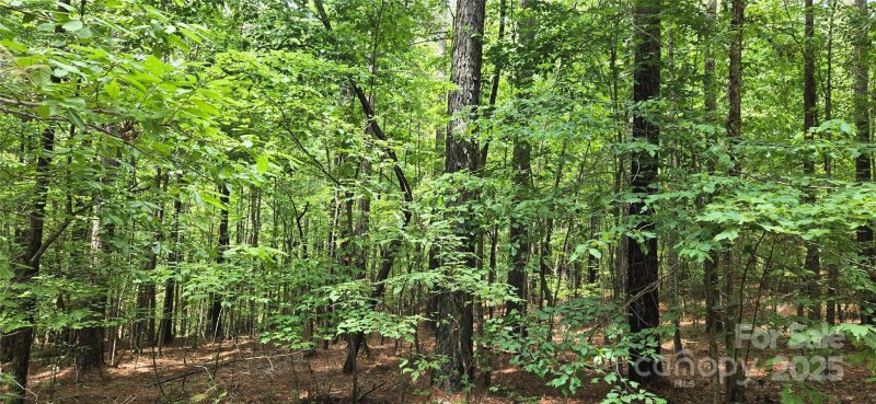 Property image 4 at Lot 15 Hidden Lake Parkway, Nebo, NC 28761