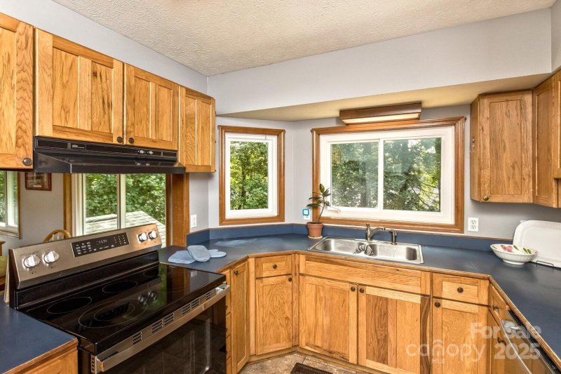 Property image 5 of 200 Waterford Drive in Mills Pointe, Mills River, NC 28759