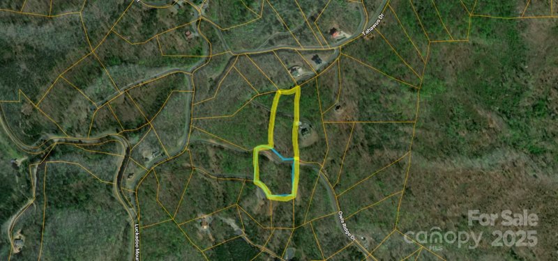 Property image 2 of Lot 117 Owls Ridge Drive in South Mountain Peaks, Bostic, NC 28018