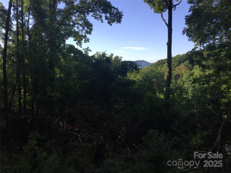 Property image 5 of 20 La Grange Drive in Beaucatcher Heights, Asheville, NC 28805