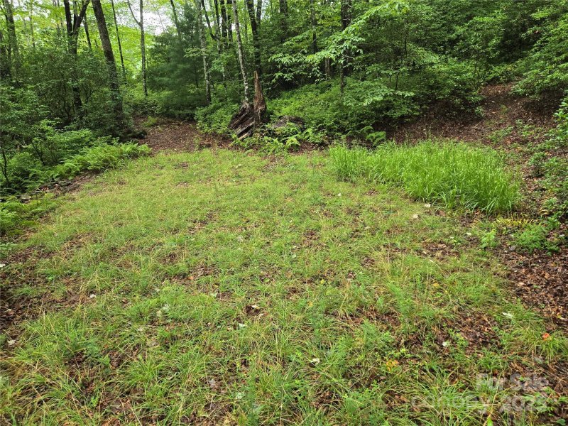 Property image 3 of 147 Hummingbird Hollow in Indian Camp Mountain, Rosman, NC 28774