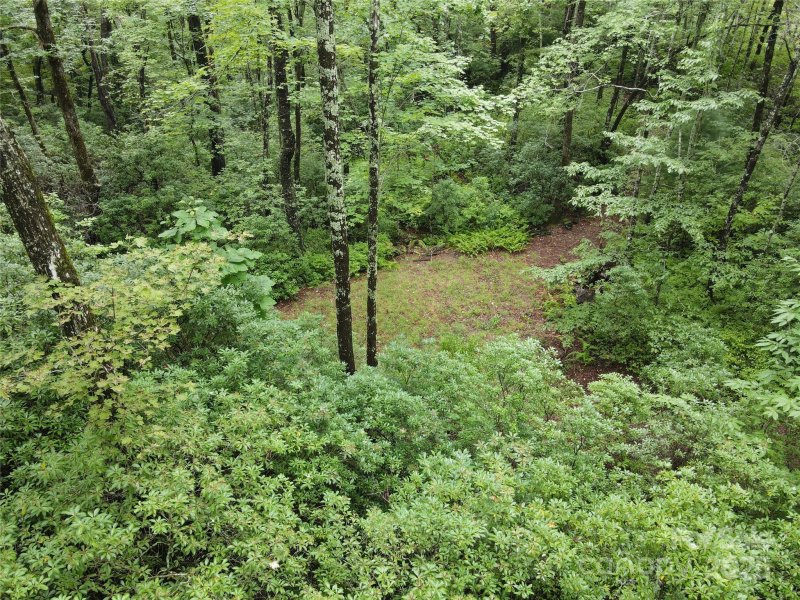 Property image 4 of 147 Hummingbird Hollow in Indian Camp Mountain, Rosman, NC 28774