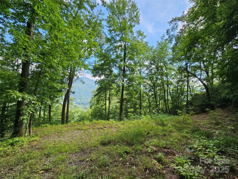 Property image 5 of 000 Big Boulder Ridge in Boulder Ridge, Maggie Valley, NC 28751