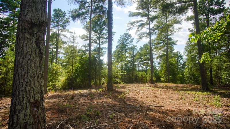 Property image 5 of 00 Scenic Lane in The Waterfront Club, Granite Falls, NC 28630