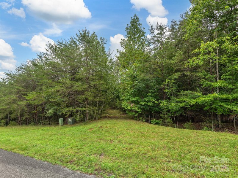 Property image 3 of Lot 28 Parkway North Road in Lake Adger, Mill Spring, NC 28756