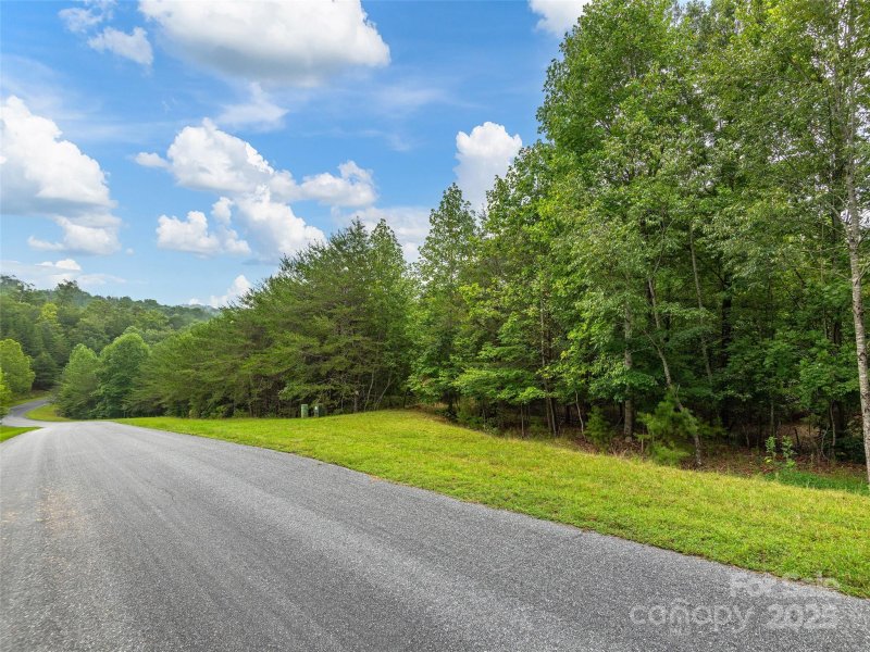 Property image 4 of Lot 28 Parkway North Road in Lake Adger, Mill Spring, NC 28756