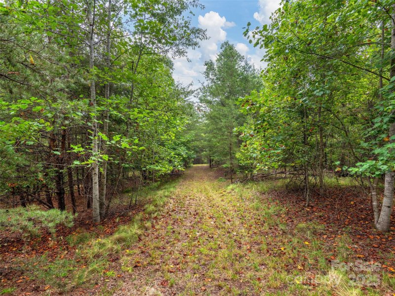 Property image 5 of Lot 28 Parkway North Road in Lake Adger, Mill Spring, NC 28756