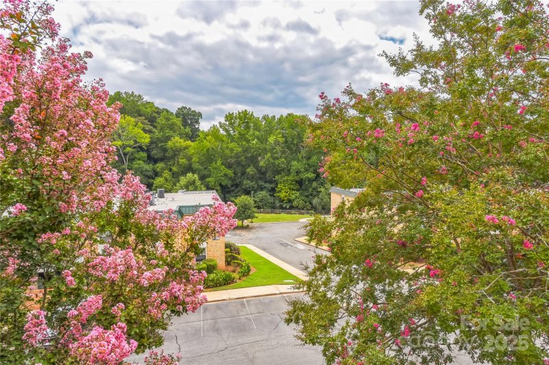 Property image 4 at 4735 Hedgemore Drive, Charlotte, NC 28209