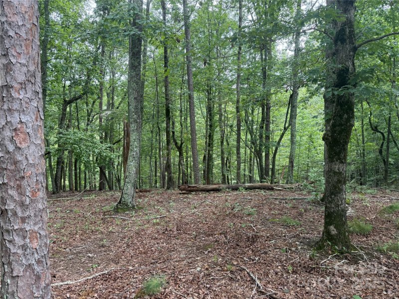 Property image 2 of 1187 Grandview Peaks Drive in Grandview Peaks, Nebo, NC 28761