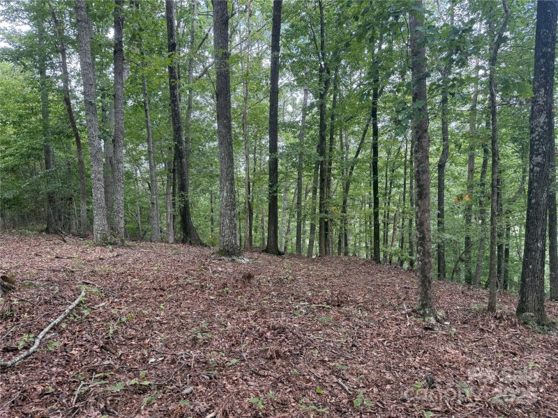 Property image 3 of 1187 Grandview Peaks Drive in Grandview Peaks, Nebo, NC 28761