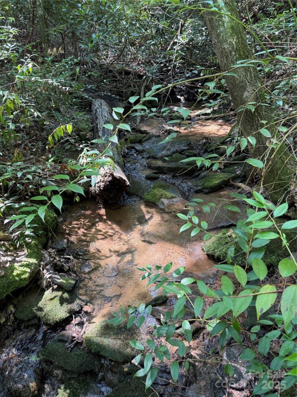 Property image 5 of 1187 Grandview Peaks Drive in Grandview Peaks, Nebo, NC 28761