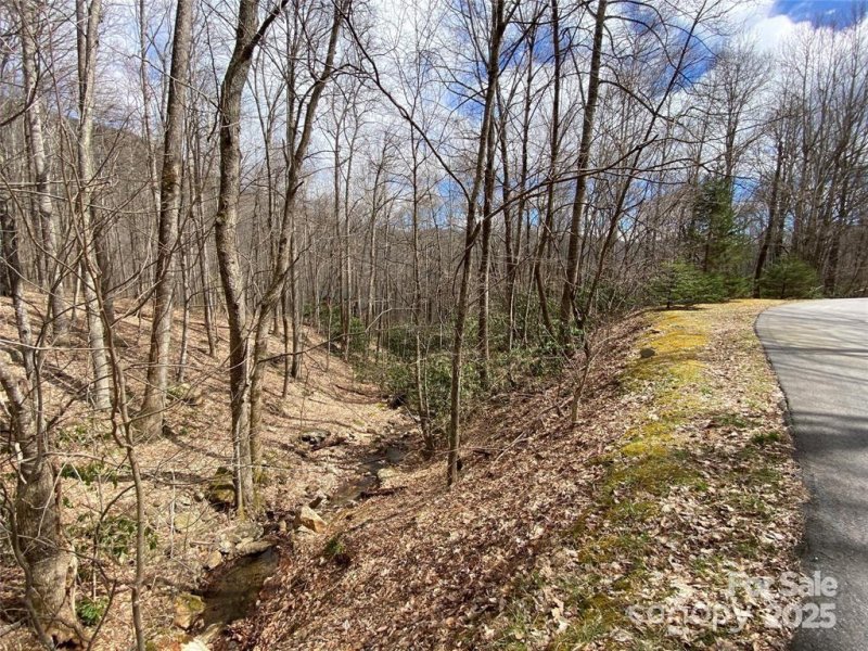 Property image 3 of 29 Wood Haven Lane in Laurel Ridge, Black Mountain, NC 28711