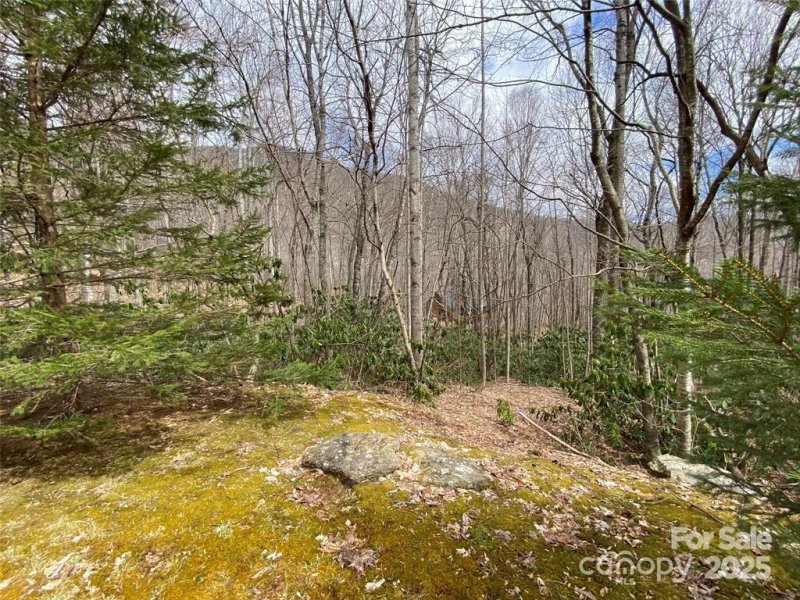 Property image 4 of 29 Wood Haven Lane in Laurel Ridge, Black Mountain, NC 28711