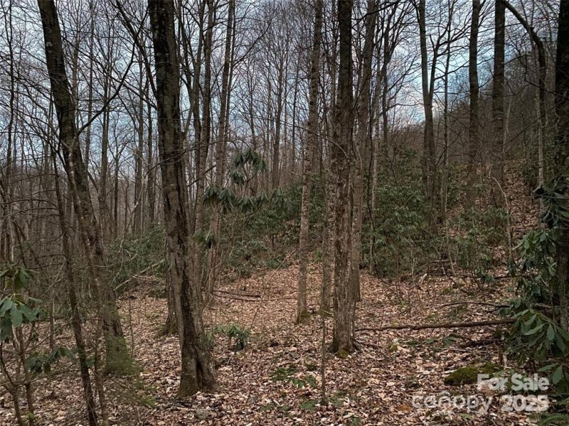 Property image 5 of 29 Wood Haven Lane in Laurel Ridge, Black Mountain, NC 28711