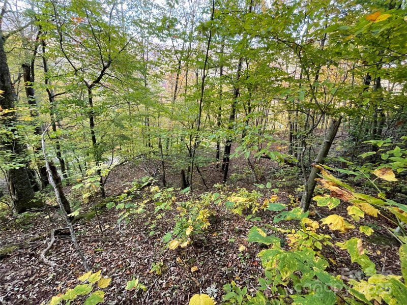 Property image 4 of 96 Chestnut Lane in Wolf Laurel Heights, Mars Hill, NC 28754