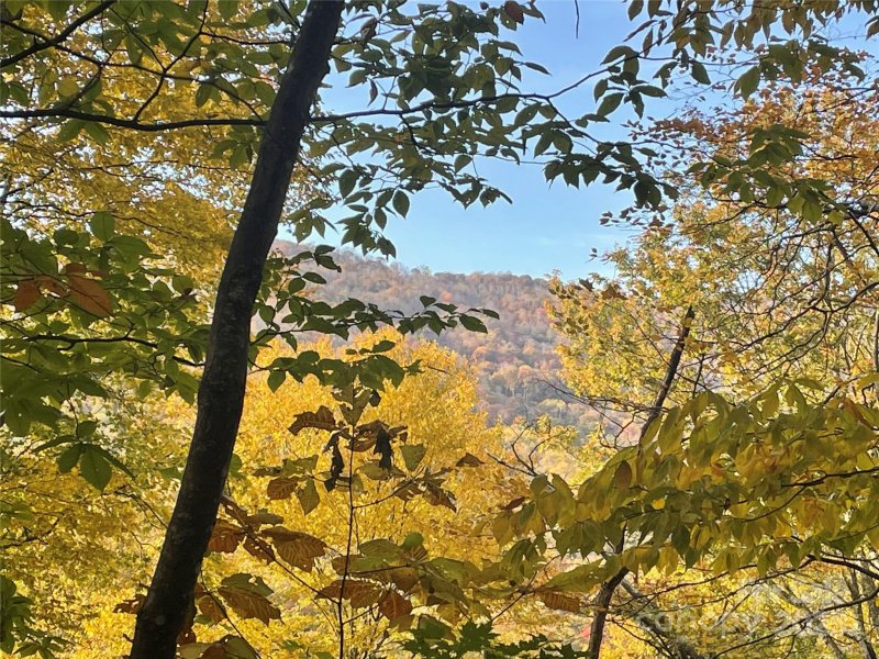 Property image 5 of 96 Chestnut Lane in Wolf Laurel Heights, Mars Hill, NC 28754