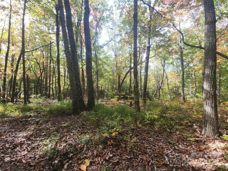 Property image 3 of 999999 N Pointe Drive in Ann Mountain Estates, Zirconia, NC 28790