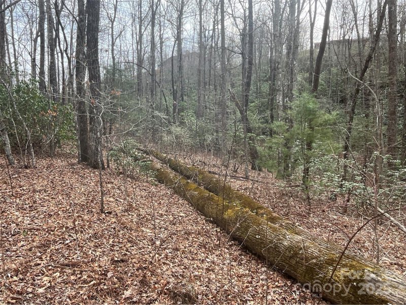 Property image 2 at 999 Panther Gap Road, Brevard, NC 28712