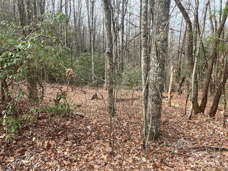 Property image 4 at 999 Panther Gap Road, Brevard, NC 28712