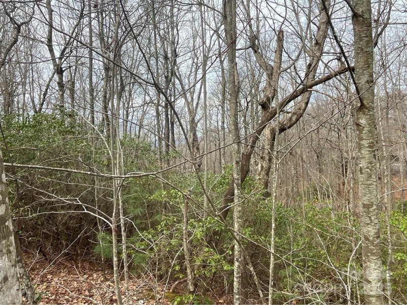Property image 5 at 999 Panther Gap Road, Brevard, NC 28712