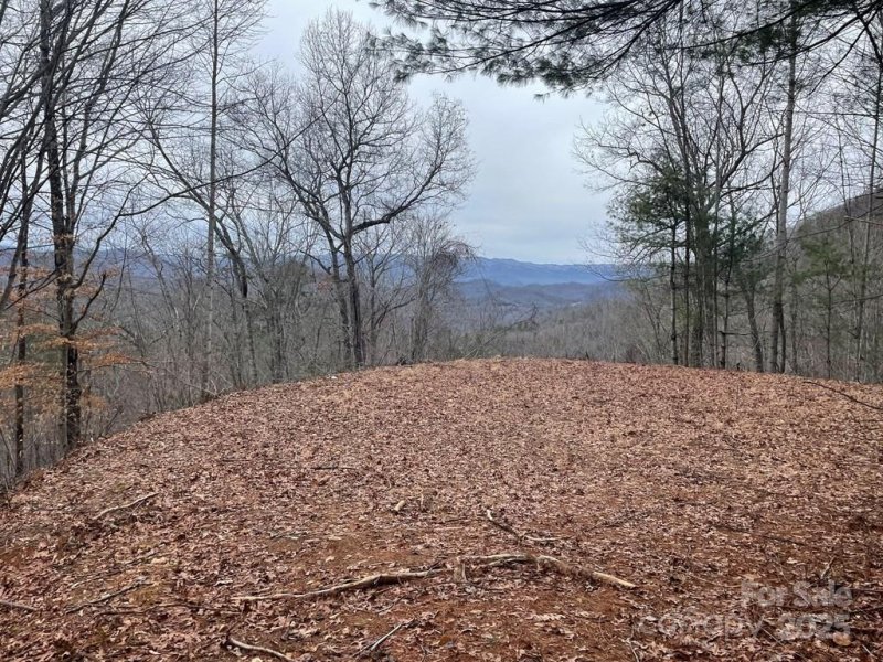 Property image 3 of 105 Starlight Lane in Deer Ridge, Bryson City, NC 28713