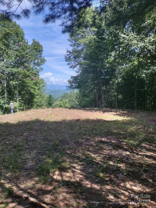 Property image 4 of 105 Starlight Lane in Deer Ridge, Bryson City, NC 28713