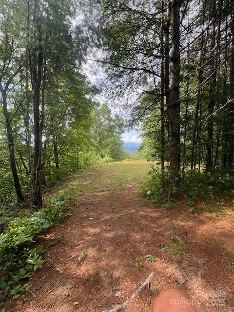 Property image 5 of 105 Starlight Lane in Deer Ridge, Bryson City, NC 28713