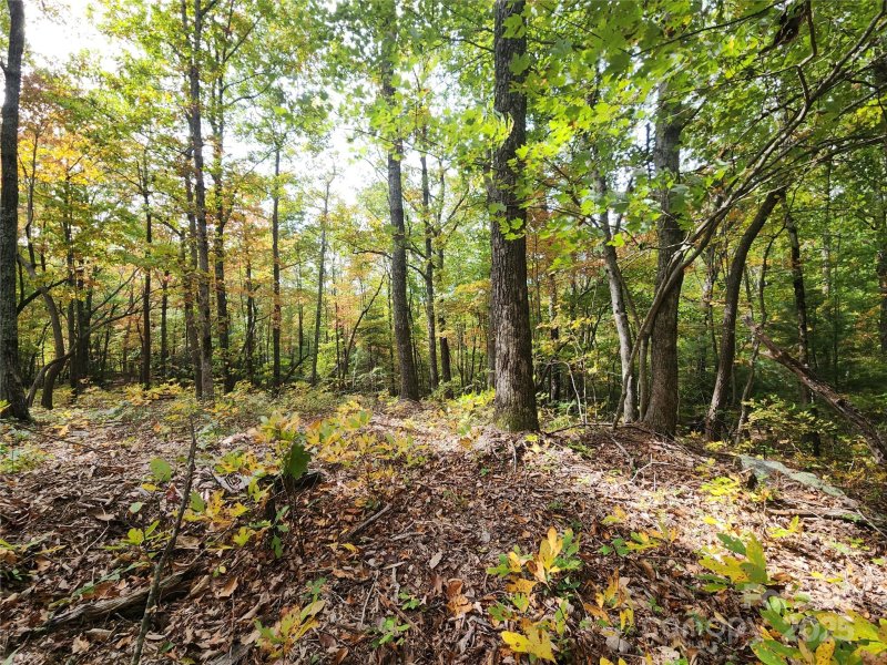 Property image 3 of 99999 N Pointe Drive in Ann Mountain Estates, Zirconia, NC 28790