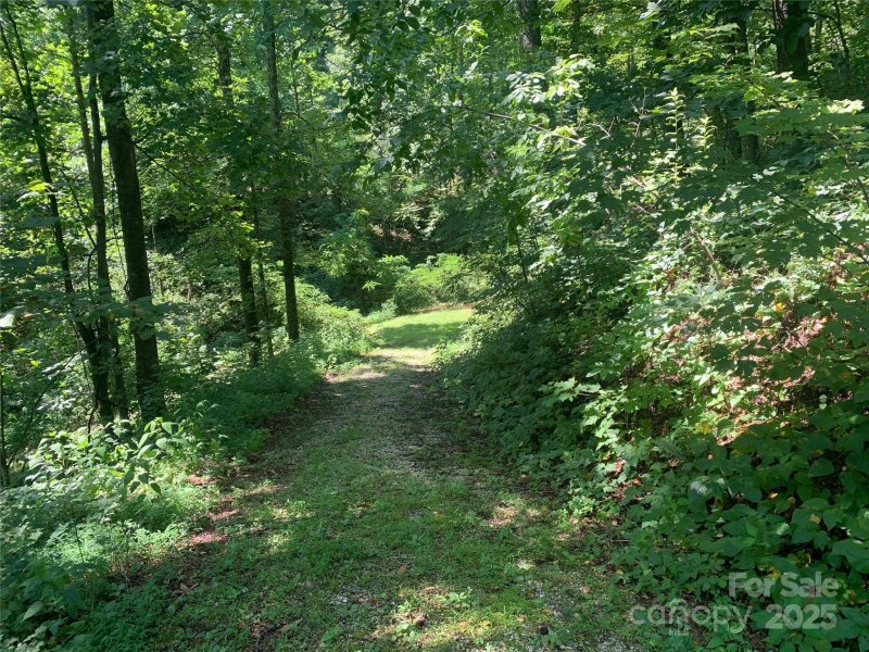 Property image 4 of 1915 Creston Drive in Creston, Black Mountain, NC 28711