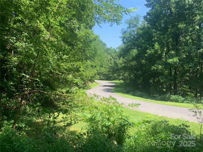 Property image 5 of 1915 Creston Drive in Creston, Black Mountain, NC 28711