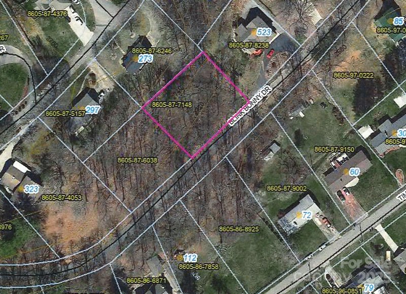 Property image 3 of 0 Blink Bonny Drive in Sulphur Springs Park, Waynesville, NC 28786