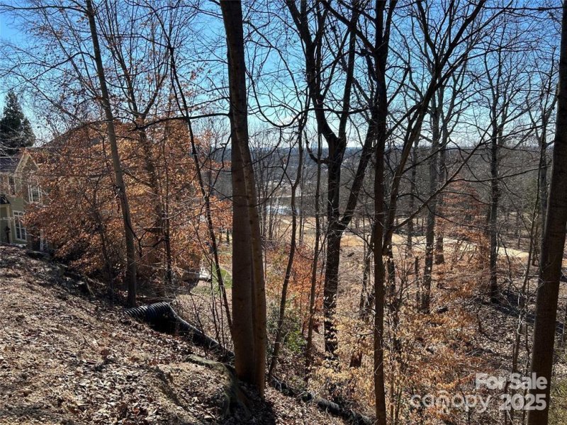 Property image 4 of 221 Mays Mills Drive in cramer mountain, Cramerton, NC 28012