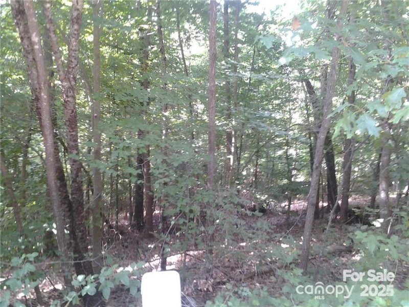 Property image 4 of 223 Mays Mills Drive in Cramer Mountain, Cramerton, NC 28032