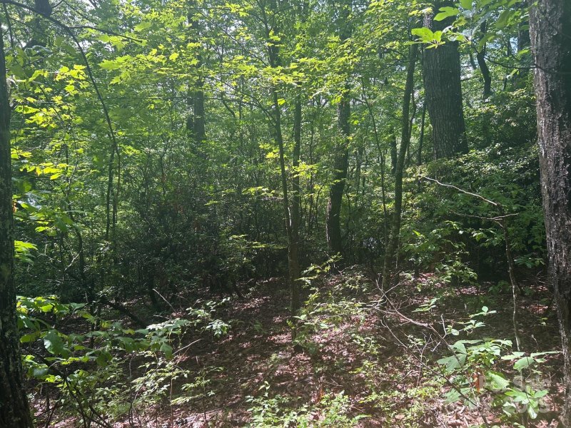 Property image 3 of Lot 21 Pine Ridge Road in Hickory Acres, Hendersonville, NC 28792