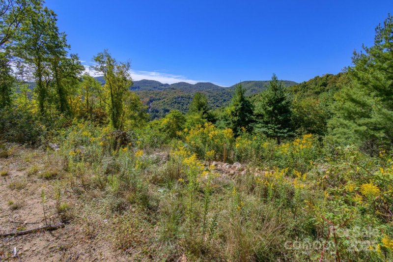 Property image 3 of Lot 26 Silver Fox Lane in Silver Springs Farm, Banner Elk, NC 28604