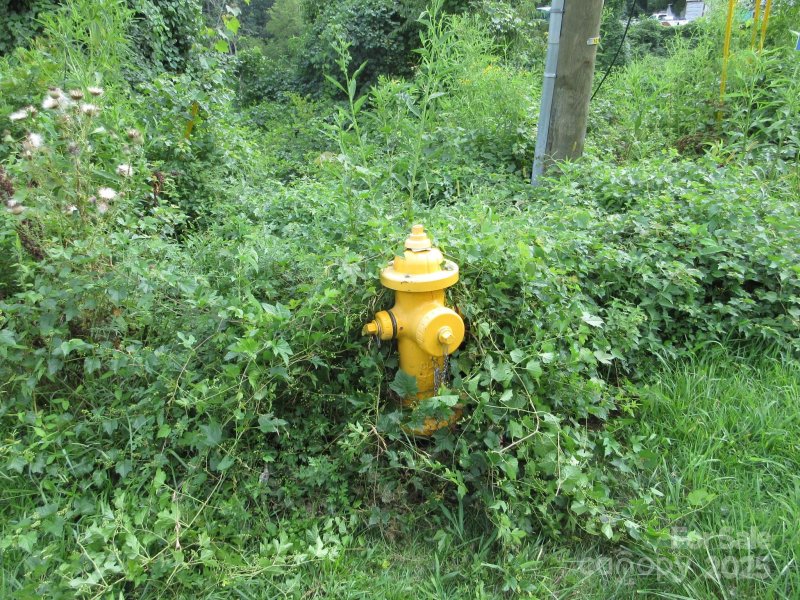 Property image 4 of 3 N Belgium Lane in Green Path Commons, Asheville, NC 28806