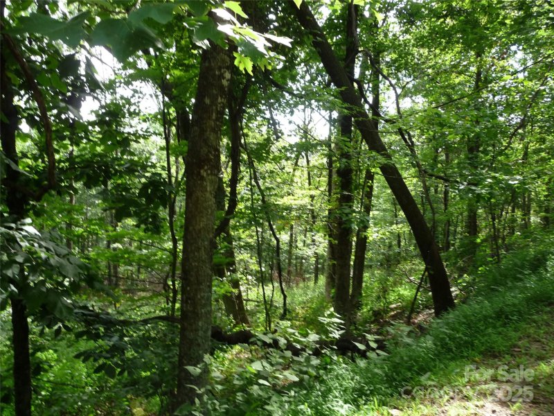 Property image 2 of Lot 12 Sunset Ridge Drive in White Oak Mountain, Columbus, NC 28722