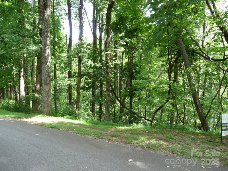 Property image 4 of Lot 12 Sunset Ridge Drive in White Oak Mountain, Columbus, NC 28722