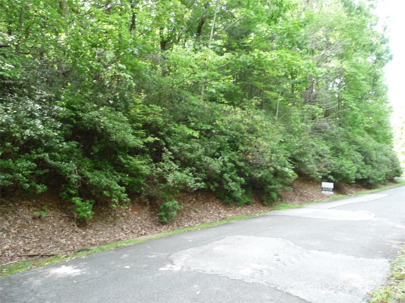 Property image 2 of Lot 70 Serpentine Drive in White Oak Mountain, Columbus, NC 28722