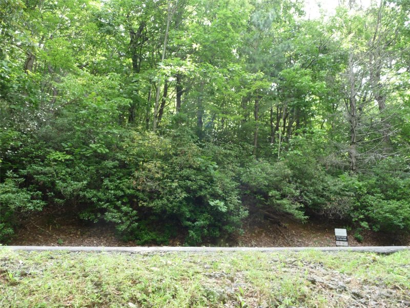 Property image 3 of Lot 70 Serpentine Drive in White Oak Mountain, Columbus, NC 28722